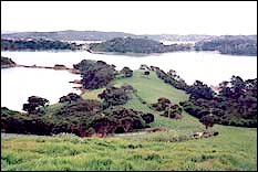 An idyllic spot for a vineyard on Waiheke Island