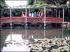 Enjoying the miniature Chinese garden at the Hamilton Gardens