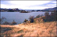 Ruby Island viewed from Waterfall Creek Track