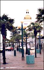 Napier's main shopping area