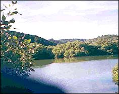 The road runs beside a Tidal River