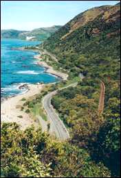 A view south from the lookout on the Omihi Scenic Reserve Walkway