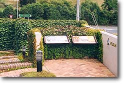 Display panels