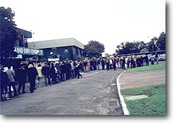 The Crowd