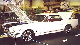 White Mustang