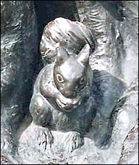 Squirrel