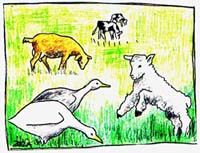 Farm animals