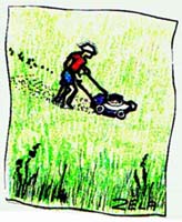 Mowing grass