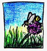 Working Bee