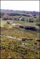 Aerial view of the wetlands at Styx Mill Conservation Reserve