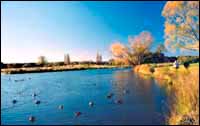 The lakes at Styx Mill Conservation Reserve
