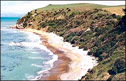 Bushy Beach