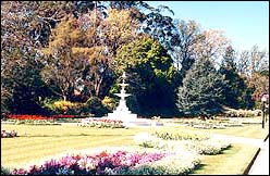 Craig Fountain