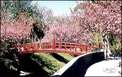 Japanese Red Bridge